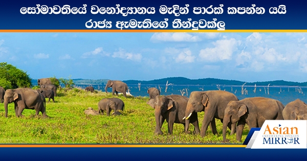 සෝමාවතියේ වනෝද්‍යානය මැදින් පාරක් කපන්න යයි - රාජ්‍ය ඇමැතිගේ තීන්දුවක්ලු