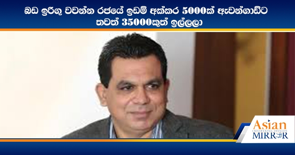 බඩ ඉරිගු වවන්න රජයේ ඉඩම් අක්කර 5000ක් ඇවන්ගාඩ්ට - තවත් 35000කුත් ඉල්ලලා