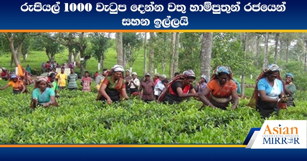 රුපියල් 1000 වැටුප දෙන්න වතු හාම්පුතුන් රජයෙන් සහන ඉල්ලයි