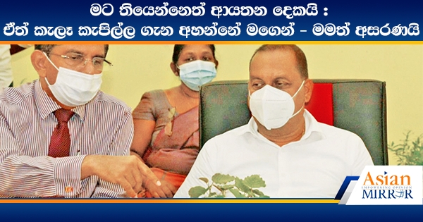 මට තියෙන්නෙත් ආයතන දෙකයි : ඒත් කැලෑ කැපිල්ල ගැන අහන්නේ මගෙන් - මමත් අසරණයි